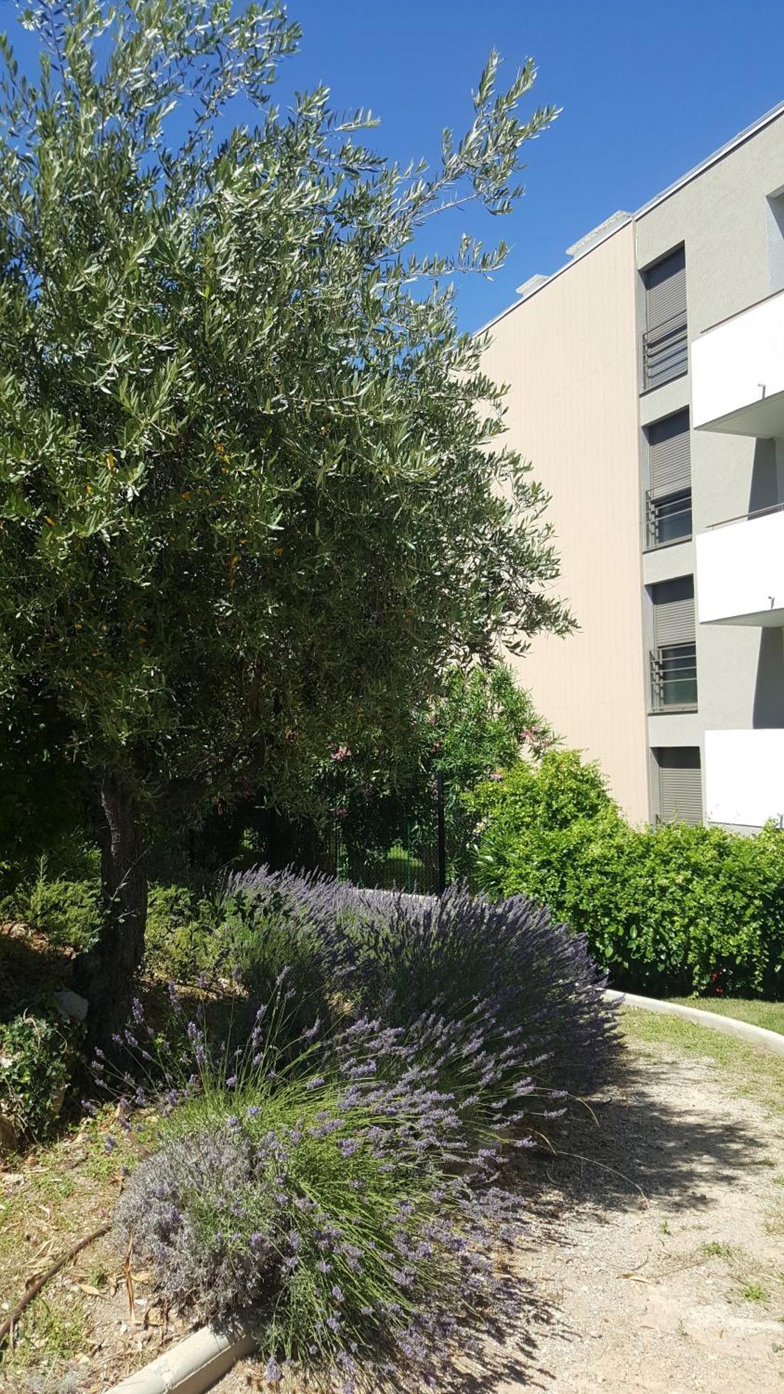 Studio Vista Διαμέρισμα Αντίμπ Εξωτερικό φωτογραφία
